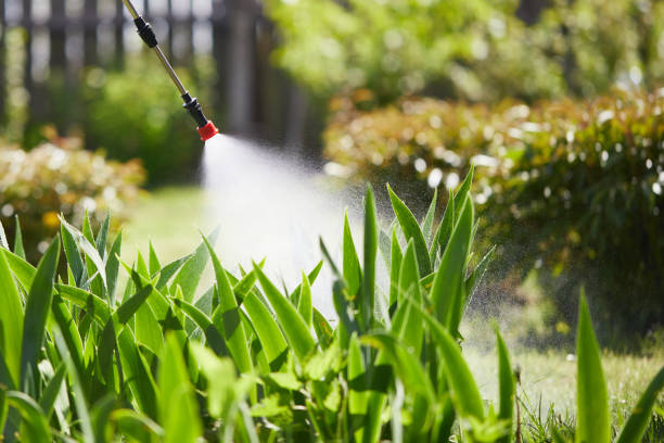 24/7 Emergency Mosquito Control experts in Fairview, TN